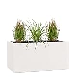 Pflanzwerk® Pflanzkübel TUB Sand 30x60x30cm XXL – Rechteckig – Großer Fiberglas Blumenkübel für außen und innen - Frostbeständig - UV-Schutz - Markenqualität