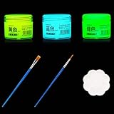 Nurila 20ml Fluoreszierende Farbe, 3 Leuchtfarbe mit 2 Pinsel und 1 Palette, Glow in the Dark Farbe, Acrylfarben Neon für Graffiti, Wandmalerei, DIY-Kreationen, Glas, Leinwand (Gelb, Blau, Grün)