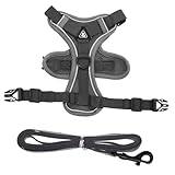 Toyvian Hundewestengeschirr Für Kleine Und Katzen Atmungsaktive Und Reflektierende Haustierweste Mit Leine Verstellbare Schnalle Für Sicheren