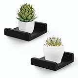 FURAOMEILI Kleine Wandregale,Mini-Schweberegal mit Rand,Ablageleiste,Lautsprecherregal,2er-Set für Bilderrahmen Pflanzen Deko für Wohnzimmer Küche Schlafzimmer,Holz,13cm,Schwarz