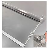 Strapazierfähige Außenrollos für Terrasse, wasserdicht, transparenter Kunststoff, winddicht, für Veranda, Pavillon, Veranda (B 125 x H 200 cm)