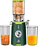 LINKChef Blitzreiniger Entsafter, NO-Prep Slow Juicer für Ganze Gemüse und Obst, Juicer Machine mit Umkehrfunktion, Einfache Installation, BPA Frei, 115mm, 1.2L, 200w Grün