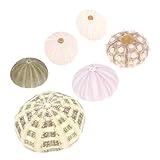 GALPADA 6Stücke Seeigel Dekorationen Für Aquarien Seeigel Accessoires Für Fischbecken Fischtankzubehör Im Gemischten Zufällige Farbwahl Für Aquarium Landschaftsdesign