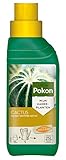 Pokon Kakteen-Flüssigdünger 250ml - Flüssige Spezialnahrung für alle Kakteen & Sukkulenten, Spezialdünger mit Magnesium (MgO) und Eisen (Fe), grün