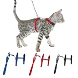 Katzengeschirr mit Leine,3pcs Katzenleine mit Geschirr,Katzenausbruchsicher,Katzengeschirr mit Leine Ausbruchsicher (Blau + Schwarz + Rot)