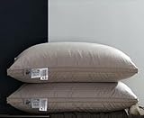 Daunenkissen 2er Set, weiche Hotelqualität, flauschige Kissen für Rücken-, Bauch- oder Seitenschläfer, Bezug aus 100% Baumwolle