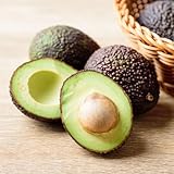 avocado samen - dekopflanzen winterharte stauden balkonpflanzen winterhart obstbaum dachbegrünung samen säulenobstbäume spalierobst avocado samen pflanzen winterhart draußen, exotische 8pcs