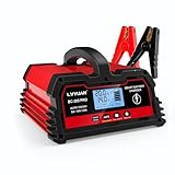 Autobatterie Ladegerät 20A 12V/24V Batterieladegerät Auto Vollautomatisches Intelligentes Erhaltungsladegerät mit LCD-Bildschirm, Ladegeräte für Autobatterien und Motorradbatterie