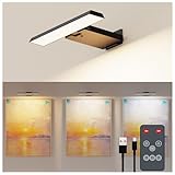 Deyagoo Bilderleuchte Kabellos, LED Wandleuchte Innen mit Fernbedienung, 6000mAh Akku Bildbeleuchtung mit Timer, Dart Beleuchtung, 3 Farbmodi Dimmbare Wandlampe für Malen Foto Art, Schwarz