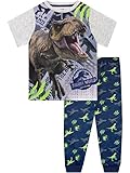 Jurassic World Jungen Dinosaurier Pyjamas Kinder T-Rex Pyjama Set Kurzarm Mehrfarbig 146