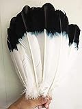 10 Stück schöne gefärbte schwarz-weiße Federn Truthahnfedern 25 cm bis 30 cm Federkleidung Kopfbedeckung Dekoration