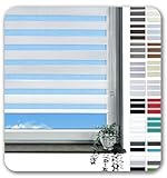 Rollmayer Klemmfix-Doppelrollo ohne Bohren Klemmrollo Fensterrollo Duo Rollo Sonnenschutzrollo Zebrarollo Seitenzugrollo für Fenster und Tür (Weiß - 60 x 150 cm - BxH)