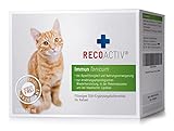 RECOACTIV Immun Tonicum für Katzen, Appetit anregendes Diät-Ergänzungsfuttermittel bei Untergewicht, Mangelerscheinungen, gestörter Nahrungsaufnahme und in der Rekonvaleszenz, 3 x 90 ml