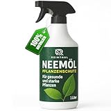 REINTHAL Neemöl Spray 1000 ml – Natürliche Pflanzenpflege, Sprühfertig gegen Blattläuse, Spinnmilben, Thripse und mehr – Niemöl mit Emulgator für Pflanzen, Nachfüllbar