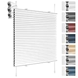 Deswell Plissee Verdunklung Klemmfix Wabenplissee B40 x H100 cm Weiß Thermoplissee ohne Bohren Faltrollo für Fenster & Tür, 100% Blickdicht, Sicht- & Schallschutz Wärmehaltung Verdunklungsplissee