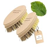 2X HOFMEISTER® Gemüsebürste, 13,5 cm, hochwertige Naturborsten in 2 Härtegraden: echt Union und Fibre, für Kartoffeln, Karotten & Gemüse, Wurzelbürste aus Buchen-Holz, Made in EU