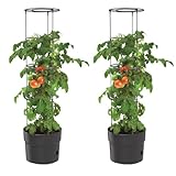 BirnePower 2X Tomatentopf Blumentopf Tomatenkübel 12L Topf für Tomatenpflanzen Tomatenzüchter mit Wasserspeicher Pflanzkübel mit Rankhilfe Rangitter Ø 30 cm H 115 cm