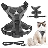 TOYANDONA Kleines Hundegeschirr Verstellbare Hundeweste Für Katzen Und Atmungsaktives Und Reflektierendes Geschirr Mit Komfortablem Design Für Im Freien