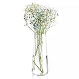 Krosno Tall Glass Flower Vase | Pure Collection | 240 mm Höhe Glasvasen für Blumen | Perfekt für Heim-, Büro- und Küchendekoration | Handwäsche