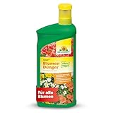 Neudorff Azet BlumenDünger - 100% natürlicher Bio Dünger für üppig blühende Blumen im Garten, Zimmer oder auf dem Balkon, 1 Liter