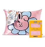 BT21 x Kitsch Satin-Kissenbezüge mit Reißverschluss, weicher als Maulbeerseide-Kissenbezüge, Standardgröße, 1 Stück, glatt, kühlend, Queen-Size, für Haare, Hautgesundheit und Schönheitsschlaf, 48,3 x