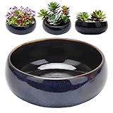 Hydroponischer Pflanztopf Aus Keramik, Glas Lotusblumenschale, Bonsaischale Lotusblume, Klarem Design, für Blume, Innen/Außen