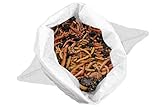 Alpenwurm 1KG Kompostwürmer (ca. 1000Stk.) Regenwürmer, Gartenwürmer