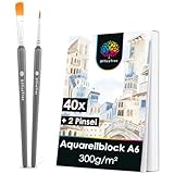 OfficeTree 40x Aquarellpapier A6 300g - Aquarellblock A6 Weiß – Zeichenblock A6 - Aquarell Postkarten Blanko - Zeichenblock Aquarell Papier A6 inklusive 2 Pinsel