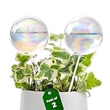 Bamworld Bewässerungskugeln 2er Set Automatische Pflanzenbewässerung für Indoor und Outdoor Pflanzen, Wasserspender für Topfpflanzen Gartenpflanzen, Handgeblasenes Regenbogenglas Bewässerungskugeln