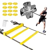 XGEAR Trainingsleiter 4M Widerstandsschirm Max.15KG Koordinationsleiter Rhythmusleiter Übungsleiter Sprintschirm Laufschirm 12x Halbkonus Marker Gelb/Hellgrau