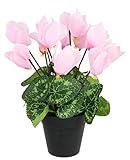 Künstliche Alpenveilchen im Topf Blume Deko Dekoblume Dekopflanze Frühjahr Frühlingsblüher Kunstblume Kunstpflanze Pflanze Primelbusch Primeln Primula Schlüsselblume Seidenblume Zimmerpflanze, Rosa