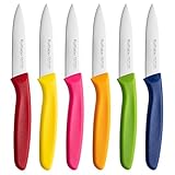 Ruffulon Gemüsemesser-Set 6 Stück, Bunte Obstmesser,Küchen messer mit Ergonomischem,Professionelles Schälenmesser mit Hochwertiger Edelstahl,Gerader Schliff,Extra Scharfe Klinge,Spülmaschinenfest