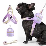 Hundegeschirr und Führleine | Verstellbares Geschirr Für Kleine Hunde - Inklusive Aufbewahrungstasche Atmungsaktiv Passform Für Training Wandern Spazieren Tierbedarf