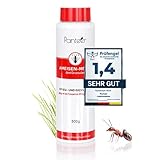 Panteer ® Ameisenstreu 500g - Problemlos durch den Sommer - Einfach Ameisen bekämpfen mit Ameisengift - Insektizid Granulat mit sofortiger Langzeitwirkung