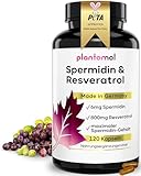 120 Spermidin Kapseln hochdosiert mit 6mg Spermidine + 800mg Resveratrol hochdosiert (je 2 Kapseln) - einzigartige Kombination aus Spermidine Kapseln hochdosiert & Trans Resveratrol Kapseln - vegan