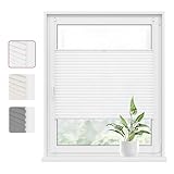 WOLTU Plissee Klemmfix ohne Bohren 65x100cm (BxH) Weiß Faltrollo Plisseerollo mit Klemmträger Lichtdurchlässig, Jalousie Sichtschutz und Sonnenschutz Easyfix Rollo für Fenster & Tür