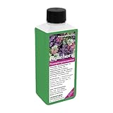 Heuchera-Dünger – Purpurglöckchen NPK Flüssigdünger 250 ml