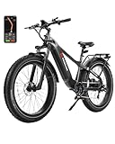 26' Smart E-Bike Herren mit GPS & App -All-Terrain E Bike Mountainbike, 48V/20Ah CE/UL, 250W BaFang Motor 90NM, 150km Reichweite, 4' Fatbike Reifen,7-Gang Elektrofahrräder (Schwarz)