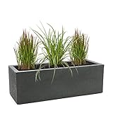 Pflanzwerk® Pflanzkübel TUB Anthrazit 27x80x30cm XXL – Rechteckig – Großer Kunststoff Garten Blumenkübel für außen und innen - Frostsicher - UV-Schutz - 2 Jahre Garantie