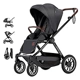 Daliya® ALPINO Buggy, Schlaffunktion, leichtem Aluminiumrahmen, höhenverstellbar, großer Korb, 360° EVA Räder, UV50+ Sonnenschutz, wasserabweisend, 5-Punkt Gurt, einfach faltbar, erweiterbar (Schwarz)