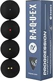 Raquex Progression Squashbälle – Tube mit 4 gemischten Bällen – 4 Geschwindigkeitsoptionen pro Tube –Red Dot, Blue Dot, Yellow Dot und Double Yellow Dot für Profi-Wettkämpfer. Von der WSF zugelassener
