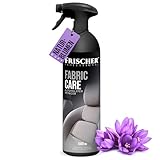 FRISCHER PROFESSIONAL Polsterreiniger 1000ml für Sofa, Auto, Sessel & Couch - Textilreiniger Konzentrat & Autositz Reiniger für alle Polstermöbel - Fleckenentferner Sofa aus Deutschland