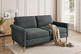 Vesgantti 2 Sitzer Sofa, Stoff Doppelsofa 164cm mit beidseitigen Taschen, Sofa mit Kissen Montage ohne Werkzeug für Wohnzimmer, Schlafzimmer, Büro, kleinen Raum 164L*76D*85H cm, Grau