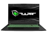 TULPAR T7 V20.6.2 Gaming Laptop | 17,3'' FHD 1920X1080 144HZ IPS LED-Display | Intel Core i7 13700H | 32 GB RAM | 500 GB SSD | Nvidia RTX 4060 | Windows 11 Gaming Notebook