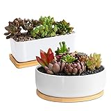 Weiße Keramik Sukkulenten Blumentöpfe, ARVINKEY 1 rechteckiger Blumentopf + 1 runder Übertopf, 2er Set kleine Kaktusbehälter, Bonsai-Töpfe, Blumentöpfe mit Abflusslöchern Bambus-Tablett (ohne Pflanze)