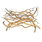 emours Aquarium Treibholz - Natürliches Aquascaping Holz - 20-40cm (8-16in) / 170g - für Pflanzen- & Garnelenbecken (gemischt)
