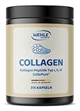 Kollagen Kapseln hochdosiert - 315 Stück - 4550mg Bioaktives Collagen Hydrolysat Peptide pro Tagesdosis - Made in Germany Collagen Kapseln Typ 1, 2 & 3 - Wehle Sports