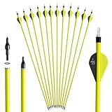 S F Bogenschießen Erwachsene Pfeile für bogenschießen Carbonpfeile，Geeignet für compoundbogen Recurvebogen Langbogen-12 Stück （28 Zoll）