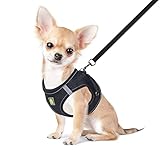 FEimaX Hundegeschirr mit Leine für Kleine Mittele Hunde Katzen Weich Mesh Welpengeschirr Atmungsaktive Brustgeschirr Verstellbare Reflektierend No Pull Weste Chihuahua Katze
