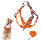 Hundegeschirr mit Hundeleine Set, Air-Mesh Atmungsaktiv Brustgeschirr für Kleine, Mittelgroße Hunde & Welpen, Weich Gepolstert Einstellbar Reflektierend Geschirr (Orange, M)